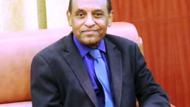 كامل إدريس